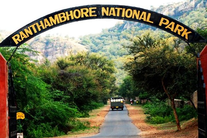 2-Days Private Ranthambhore Tiger Tour from Jaipur - Wildlife Beyond Tigers: What You Can Still Look Forward To