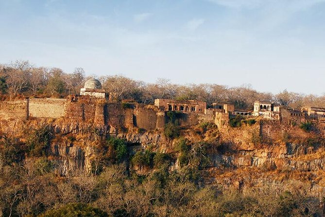 2 Days Ranthambore Tiger Safari with Tickets - Jaipur To Ranthambore: The Ride That Sets the Tone