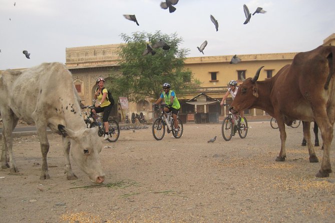 3-Hour Morning Bike Tour of Jaipur - Your bikes, helmets, and the comfort system (e-bikes + e-rickshaw)