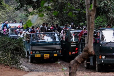 Day Trip from Jaipur to Ranthambore Safari - The Drive to Ranthambore: Time, Timing, and Weather