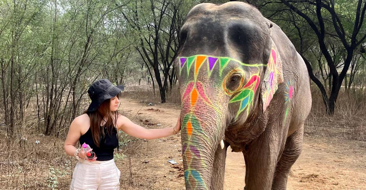 Elefun Best Elephant Sanctuary in Jaipur - Meeting the elephants: the introduction that’s all about trust