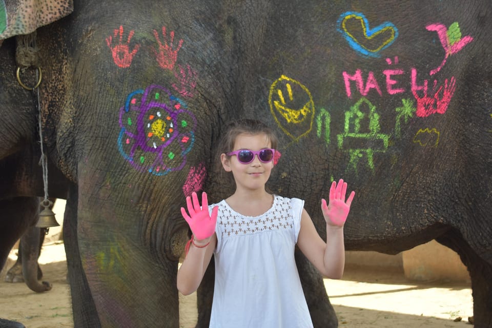 Elefun Best Elephant Sanctuary in Jaipur - Walking alongside instead of riding: the ethical engagement piece