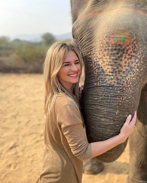 Elephant Sanctuary for Best elephant experience in Jaipur - Weather, Timing, and Choosing Your Visit Window
