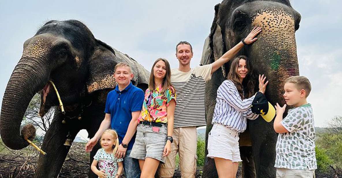 Elephant Sanctuary for Best elephant experience in Jaipur - Why This Jaipur Elephant Sanctuary Feels Different Than a Typical Tour