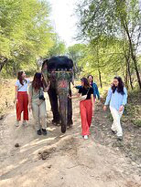 Elephant Sanctuary for Best elephant experience in Jaipur - Entering the Sanctuary: Eco-Friendly Habitats and Elephant Personal Space