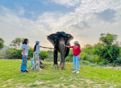 Elephant Sanctuary for Best elephant experience in Jaipur - Hotel Pickup to the Sanctuary: Easy Start, Real Jaipur Info Along the Way