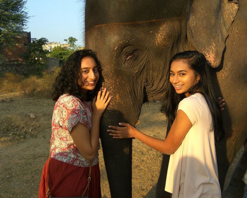 Elephant Sanctuary for Best elephant experience in Jaipur - Food, Drinks, and a Practical Day Plan (Yes, You Still Need to Prepare)