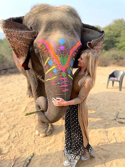 Elephant Sanctuary for Best elephant experience in Jaipur - What’s the Best Fit for You