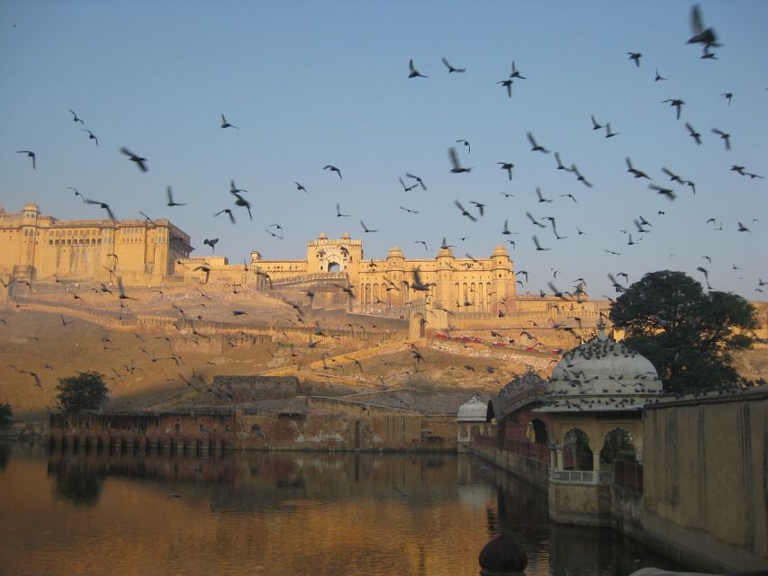 From Delhi: Private Jaipur & Amber Fort Guided Tour by Car - Lunch in Jaipur’s Pink City: What You Can Eat and How to Plan