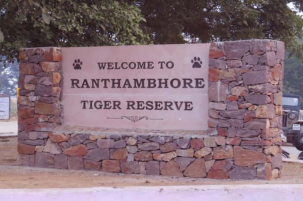 From Jaipur: Praivte Ranthambore Tour By Jeep Canter Safari - The Safari Timing Game: Morning vs Afternoon in Different Seasons