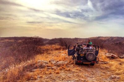 From Jaipur: Praivte Ranthambore Tour By Jeep Canter Safari - Jeep vs Canter Safari: Comfort, Chances, and Crowd Control
