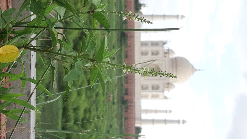 From Jaipur: Private Taj Mahal Sunrise & Agra Fort Tour - Price and value: what $3.22 per person really buys