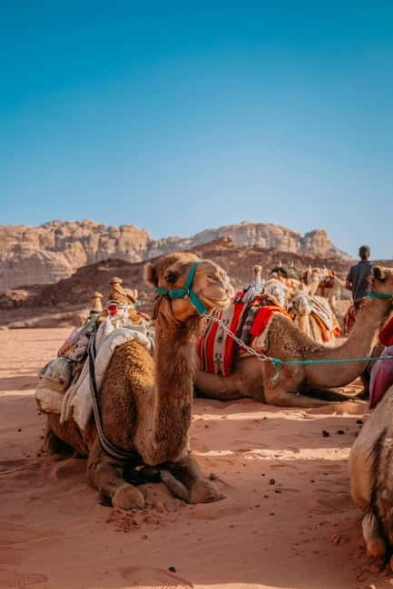 From Jaipur: Pushkar and Ajmer Private Day Trip - Jaipur to Pushkar and Ajmer in One Day: what the day is really like