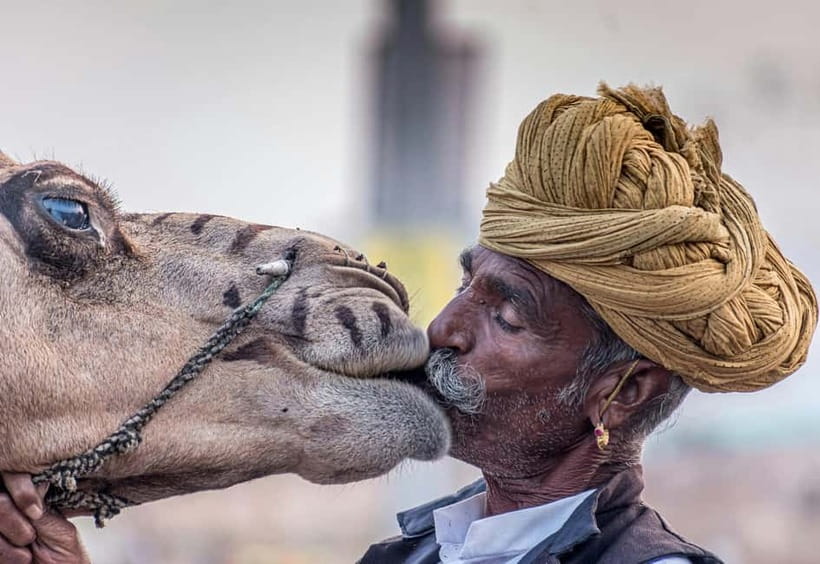 From Jaipur: Pushkar and Ajmer Private Day Trip - Pushkar with a live English guide: Brahma Temple and the lake-town feel