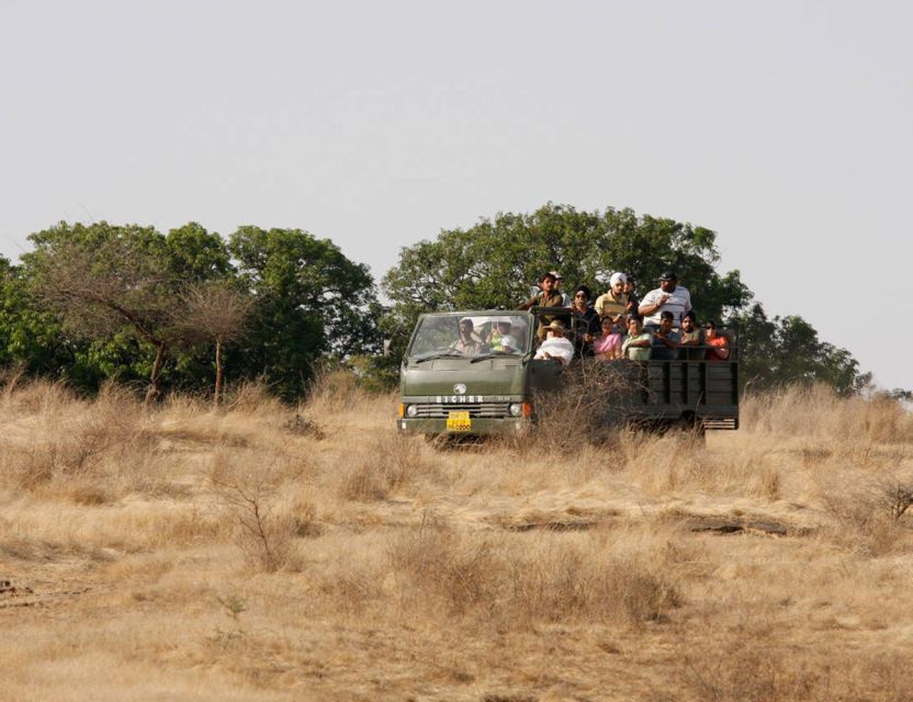 From Jaipur: Ranthambore Tour with Cab - Key Things That Make This Day Trip Worth Your Time