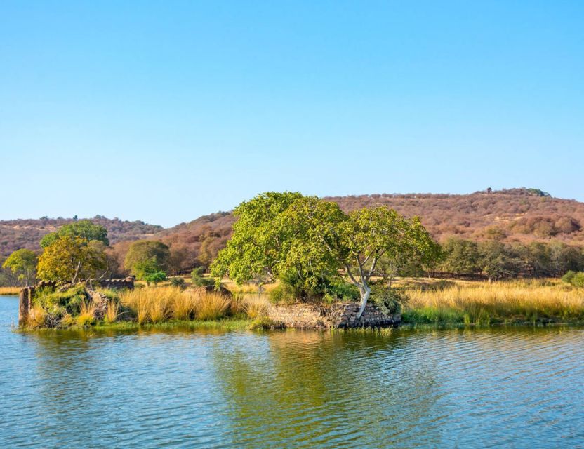 From Jaipur: Ranthambore Tour with Cab - The Naturalist Guide: How You Get More Than Just a Drive