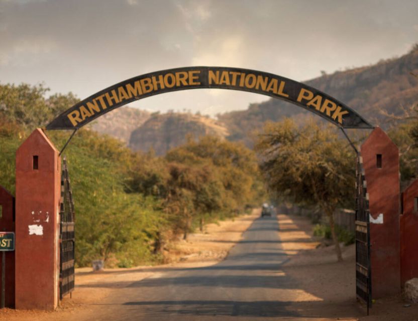 From Jaipur: Ranthambore Tour with Cab - Small Details That Can Make or Break Your Day
