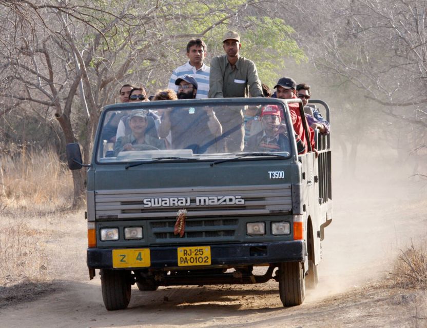 From Jaipur: Ranthambore Tour with Cab - The Afternoon Safari Rhythm: Why the Timing Matters