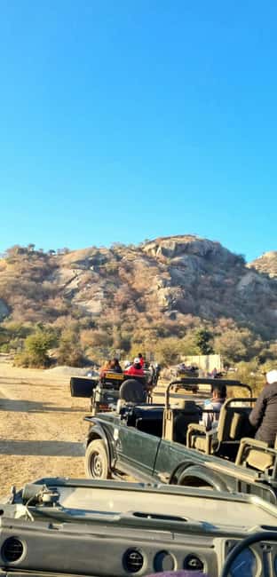 From Jaipur: Sariska National Park Day trip with Safari - Inside the Tiger Reserve: Guided Wildlife Time