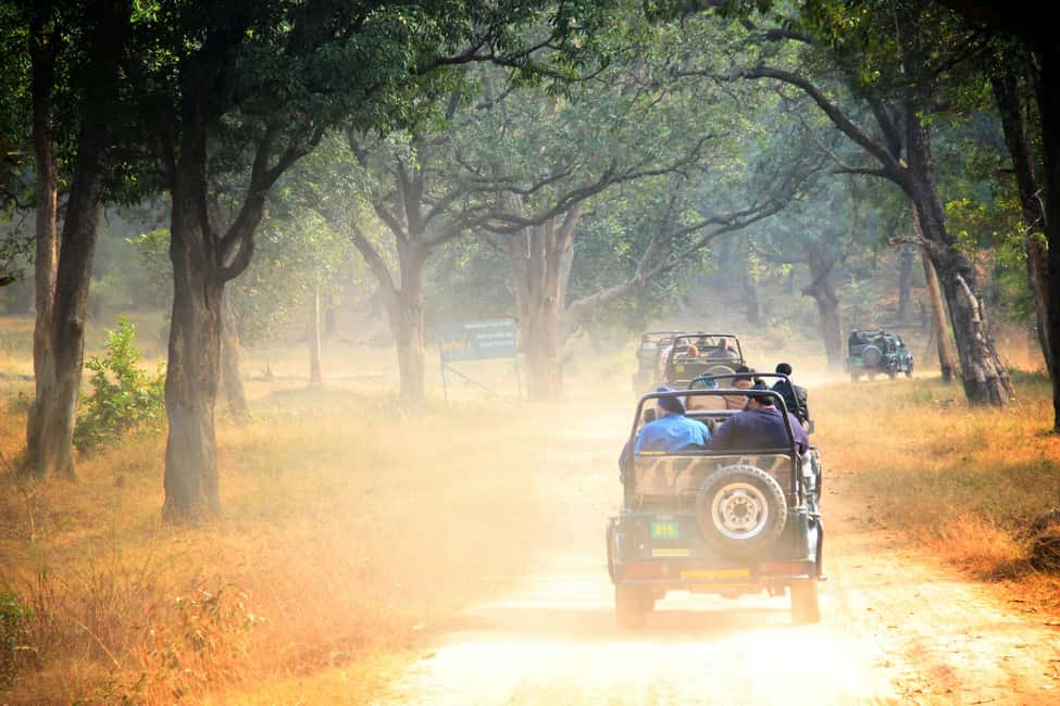 From Jaipur: Sariska National Park Day trip with Safari - The Guide Experience: English Is Listed, Delivery Can Vary