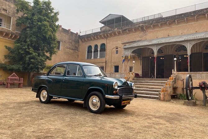 Full day Jaipur sightseeing tour by tuk tuk. - Jal Mahal on Maota Lake: a palace-in-the-water moment