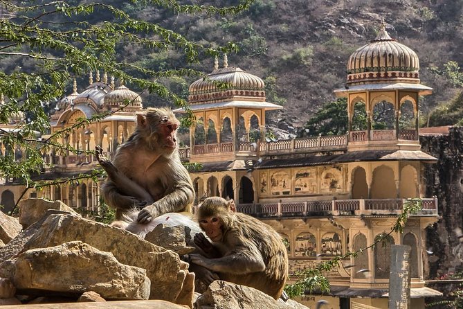 Full-Day Private City Tour of Jaipur - Quick stops that add local texture: Panna Meena ka Kund, Jal Mahal, and Gaitore