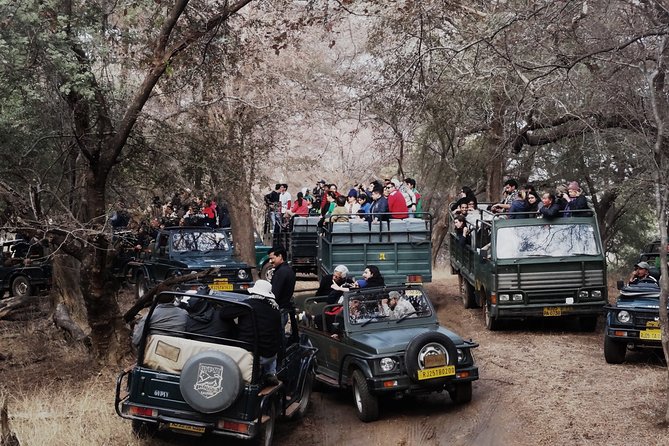 Full Day trip to Ranthambore tiger reserve from Jaipur Hotels - Ranthambore from Jaipur: a long day with sensible timing