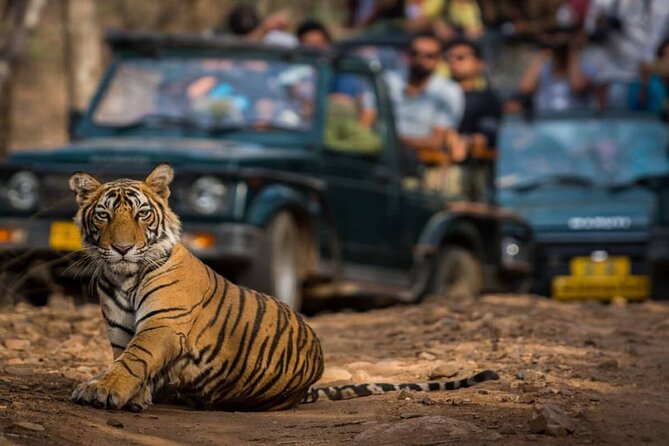 Golden Triangle & Ranthambore: 4-Day Private Tour from Delhi - Key Things You’ll Notice Right Away