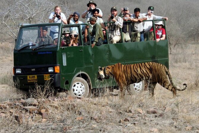 Golden Triangle & Ranthambore: 4-Day Private Tour from Delhi - Day 2 in Agra: Sunrise Taj Mahal, Agra Fort, and the Baby Taj