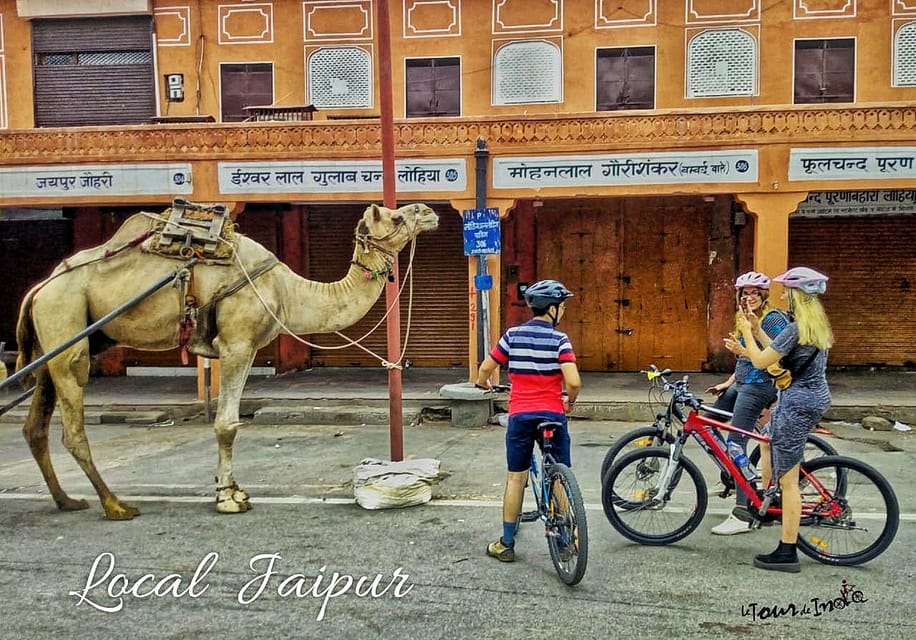 Jaipur: 3-Hour Morning Bike Tour of Jaipur Old City - Morning in Jaipur: why this bike tour feels different