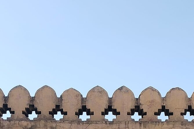 Jaipur City Full Day Luxury Private Tour - Jaipur block printing: see the 300-year-old craft in action
