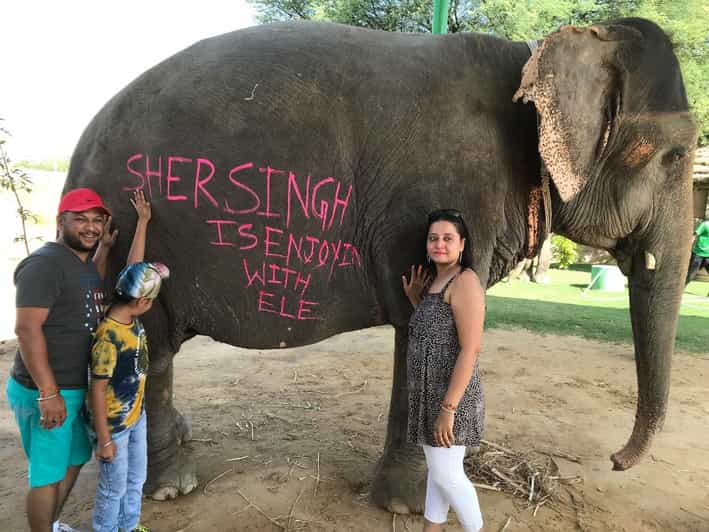 Jaipur: Elephant Interaction Tour - Key highlights you should know before you go