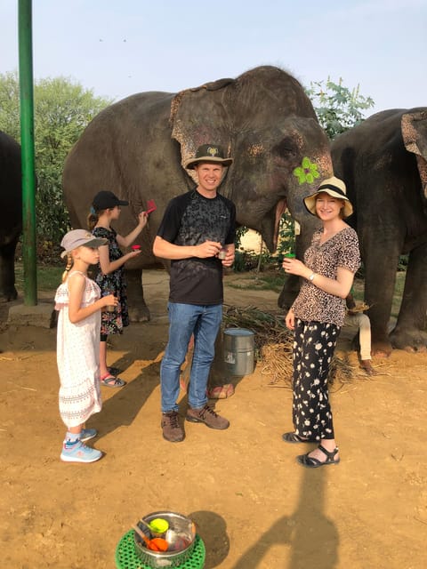 Jaipur: Elephant Interaction Tour - Elephant Washing and Shower: Late Afternoon, Strict Safety Limits