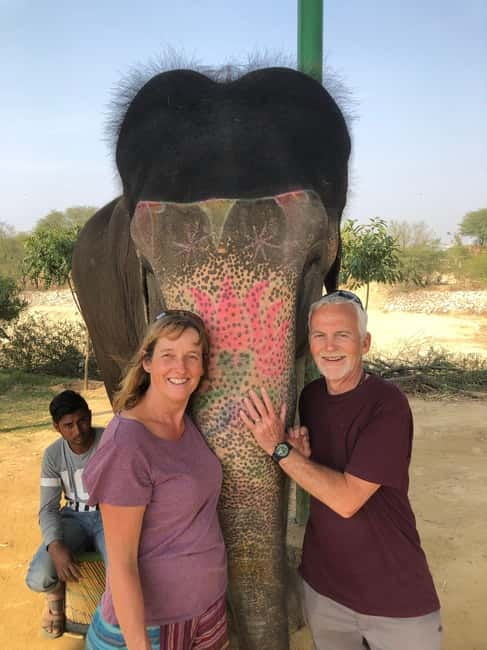 Jaipur: Elephant Interaction Tour - Pickup to Elephant Village: How the 4 Hours Actually Feel