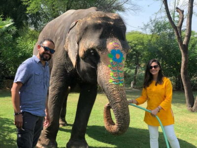 Jaipur: Elephant Interaction Tour - Price and Value: Why $58 Can Feel Like a Deal (If You Care About the Details)