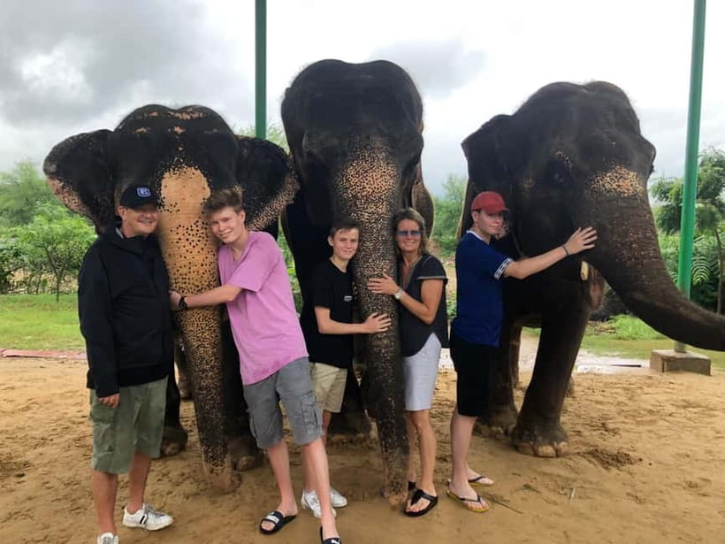 Jaipur: Elephant Interaction Tour - Meeting and Intro: The Gentle Start That Sets the Tone