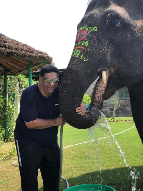 Jaipur: Elephant Interaction Tour - Mud Bath With Elephants: Fun for You, Health for Them