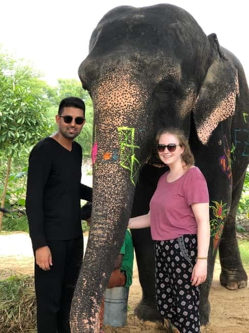 Jaipur: Elephant Interaction Tour - Elephant Painting (Natural Colors): Trying It Without Making It Weird