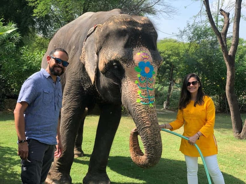 Jaipur: Elephant Interaction Tour - Price and Value: Why $58 Can Feel Like a Deal (If You Care About the Details)
