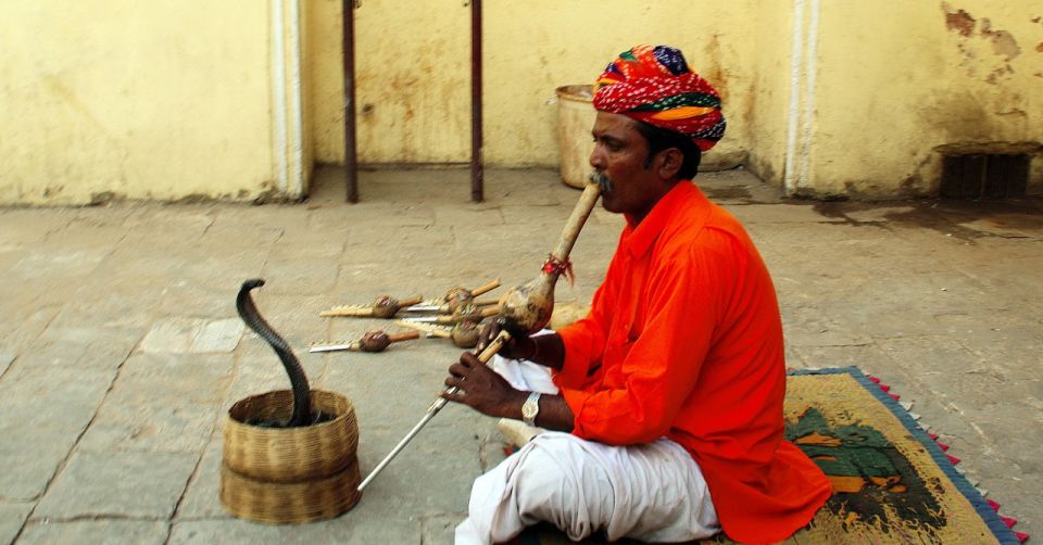 Jaipur: Full-Day Private City Tour by Car with Guide - Quick hits