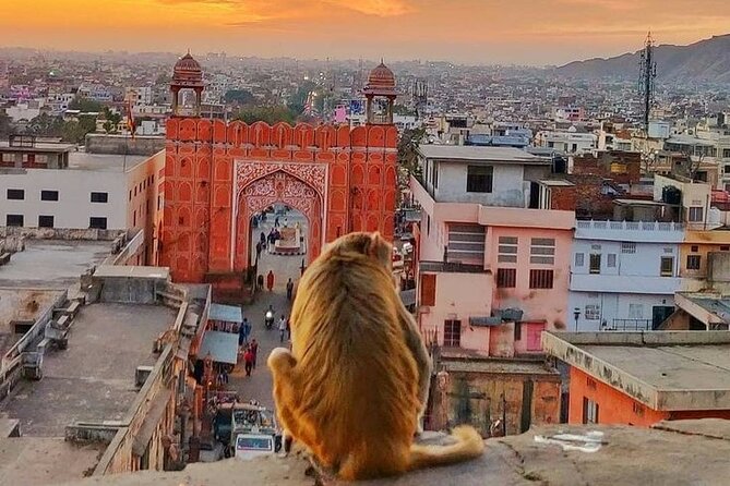 Jaipur Full Day Tour By Car And Guide With Hotel Pickup - Price and logistics: what $16.29 actually buys