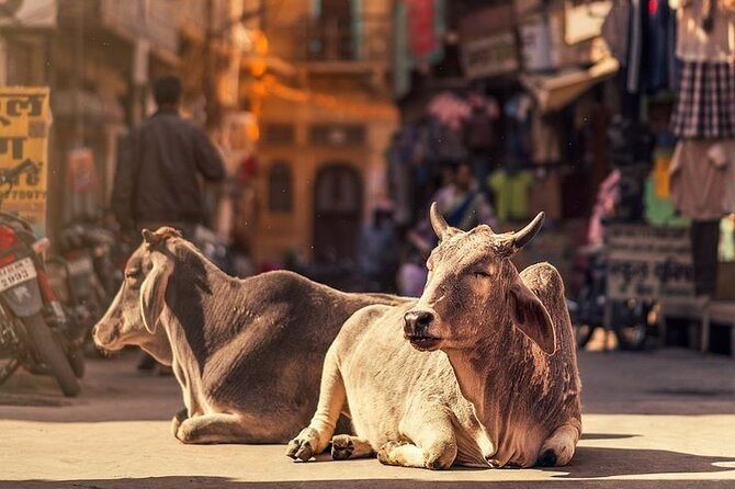 Jaipur Full Day Tour By Car And Guide With Hotel Pickup - Jantar Mantar and City Palace: where the guide earns their spot