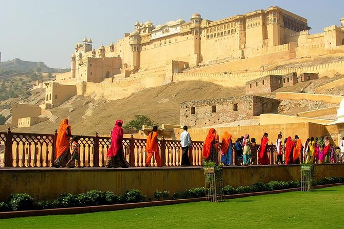 Jaipur in a day - Monkey Temple: Quick Stop, Real Atmosphere