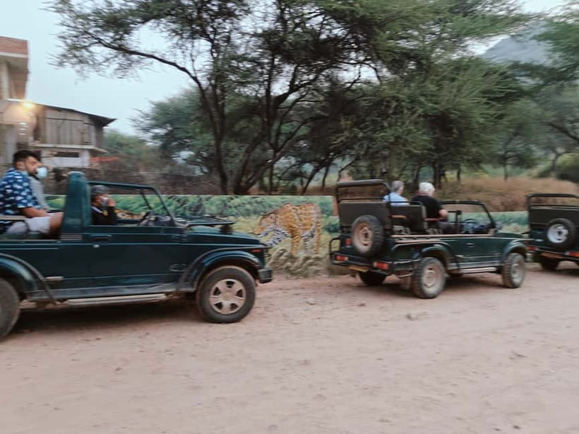 Jaipur: Jhalana Amagarh Leopard Reserve 4×4 Jeep Safari - Practical Tips That Improve Your Odds (Without Overhyping)