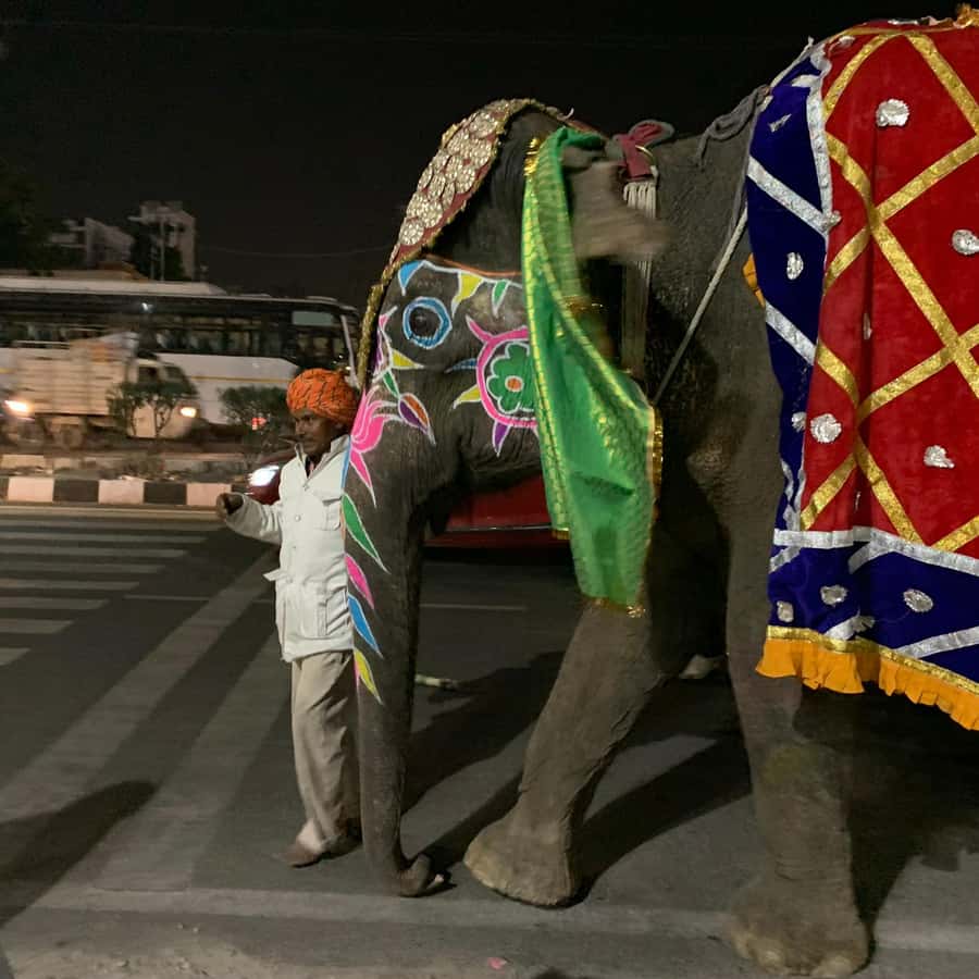 Jaipur: Night Tuk-Tuk Tour With Friendly Local Driver - Ice Cream Stop: Sorbet or Ice Cream on a Warm Evening