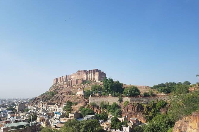 Jaipur Pink City Tour by Car or Tuk-Tuk - Jal Mahal (About 15 Minutes): The Water Palace Photo Moment
