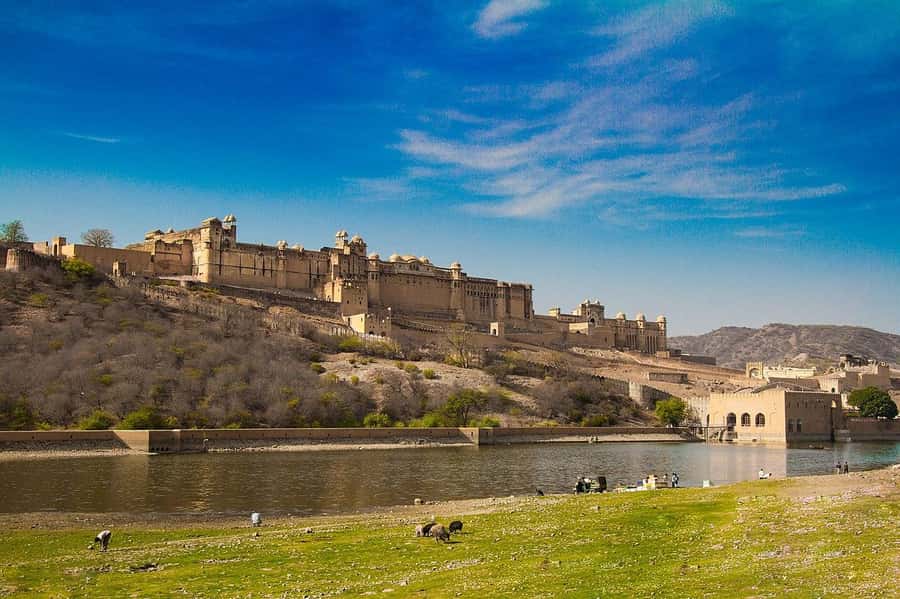 Jaipur: Private Full-Day Sightseeing Tour by Tuk-Tuk - City Palace and Jantar Mantar: royalty meets ancient astronomy