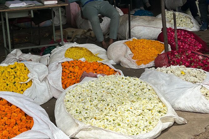 Jaipur: Shopping Tour with Blue Poetry & Printing Workshop & Rugs - Blue pottery in Jaipur: learning the turquoise look before you shop