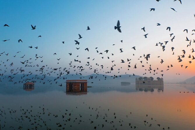 Jaipur Sunrise Tour with Morning Flower Market Walk - Jal Mahal (Water Palace) Views Before the Sun Hits