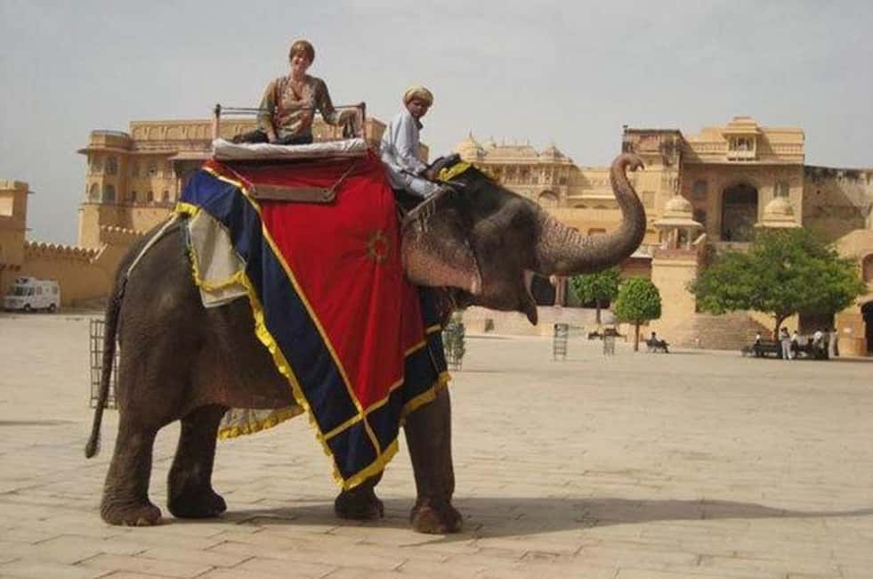 Jaipur Tour ( Pink City ) by Car From Delhi - All Inclusive - Pink City in One Day: What This Tour Really Delivers